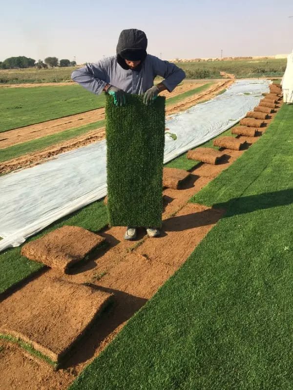 Transforming Landscapes with Expert Turf Installation