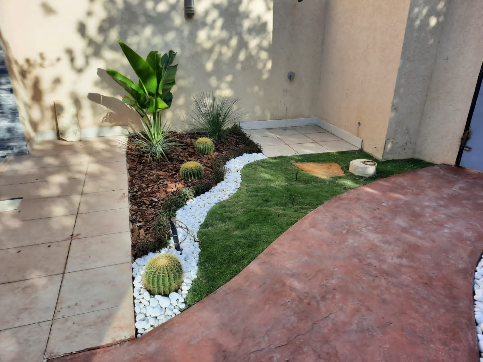 Creating an Inviting Landscape Design with Desert Plants